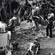 Imagen para el artículo titulado The Empire Strikes Back: la historia de cómo se gestó la obra maestra de George Lucas